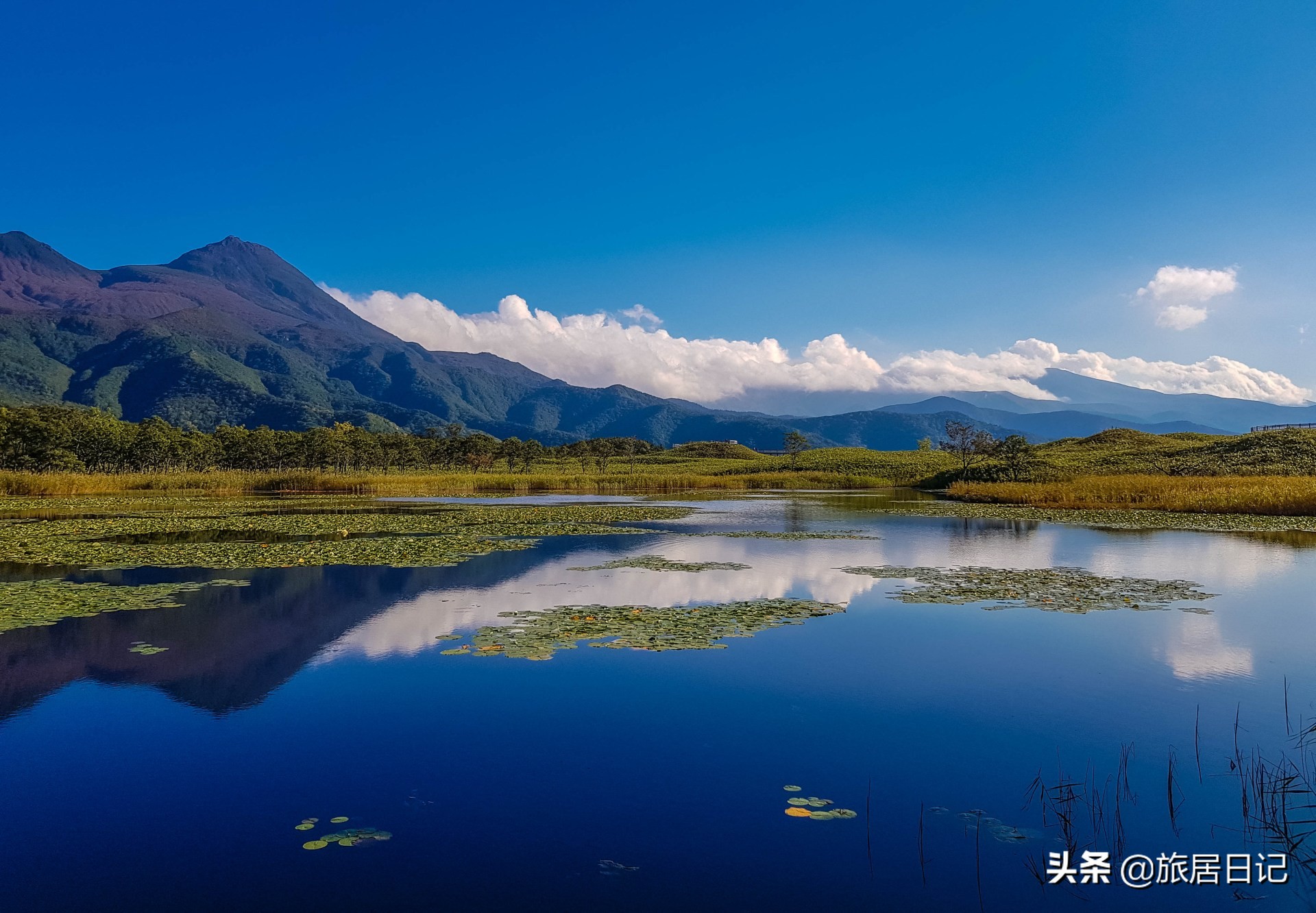 日本十大美景公园,日本东京最美的10座公园