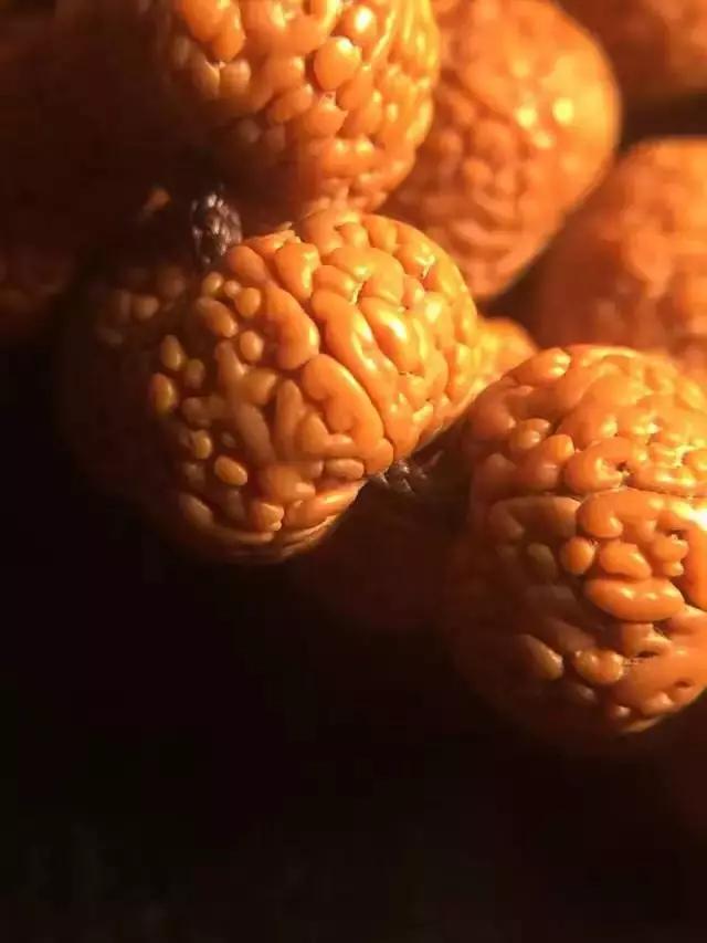 什么是金刚菩提鹰爪纹路,小金刚菩提子纹路图解大全