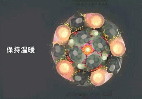 劳斯莱斯保暖上衣,劳斯莱斯羽绒服