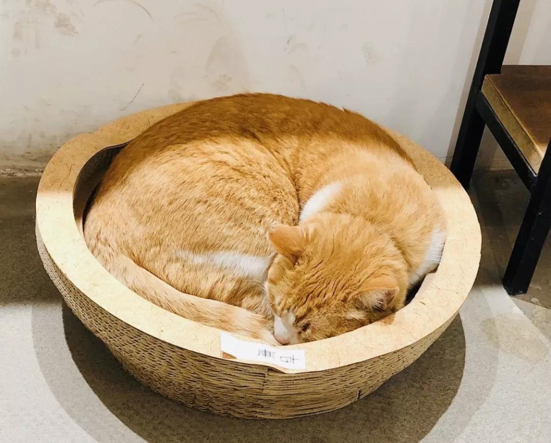 用阅读触摸成都|在成都不能错过的10家书店(下)