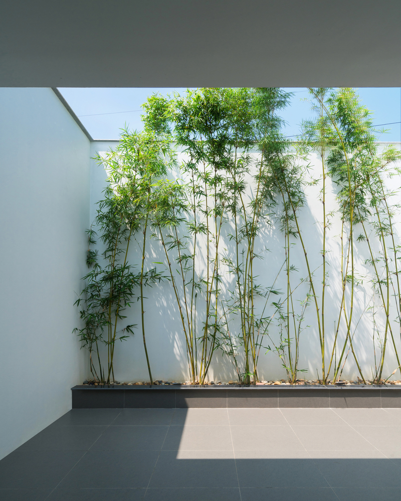 占地75亩的私家宅院,占地75平的自建房