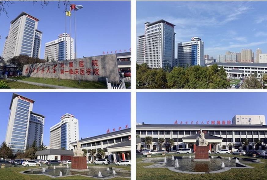 一场秋雨一场凉，滋补养生话膏方