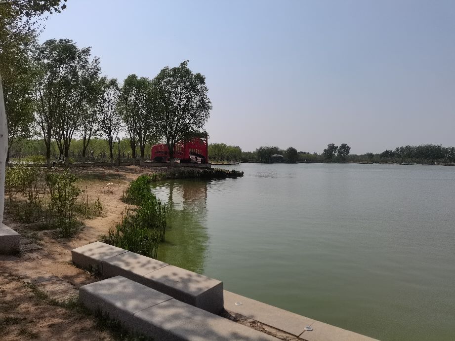 吃饱了来公园走走,吃饱喝足广场散步