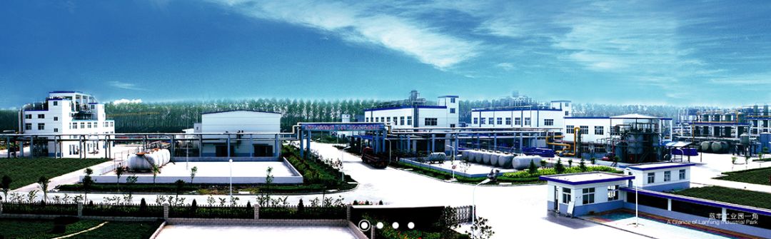 蓝丰生化资产,蓝丰生化的十大股东