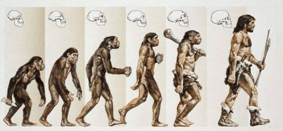 猴子会进化成凯撒吗,猴子会演化成人类吗