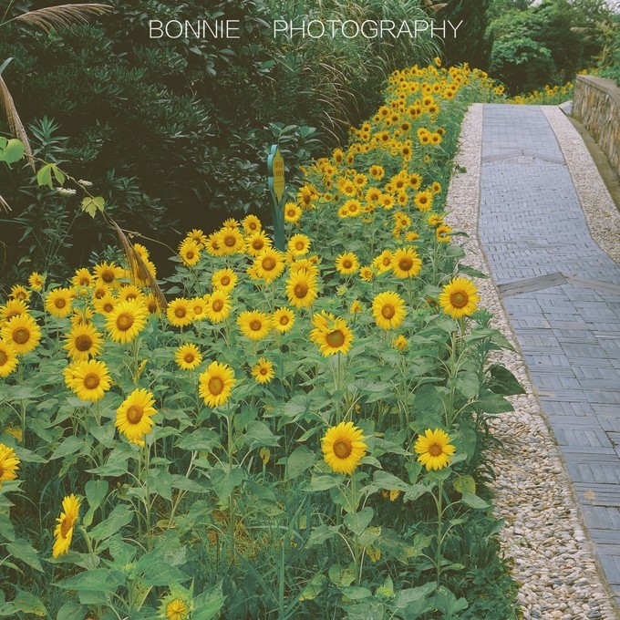 嵊泗列岛三天三夜自由行攻略 (嵊泗本岛三天两夜自由行攻略住宿)