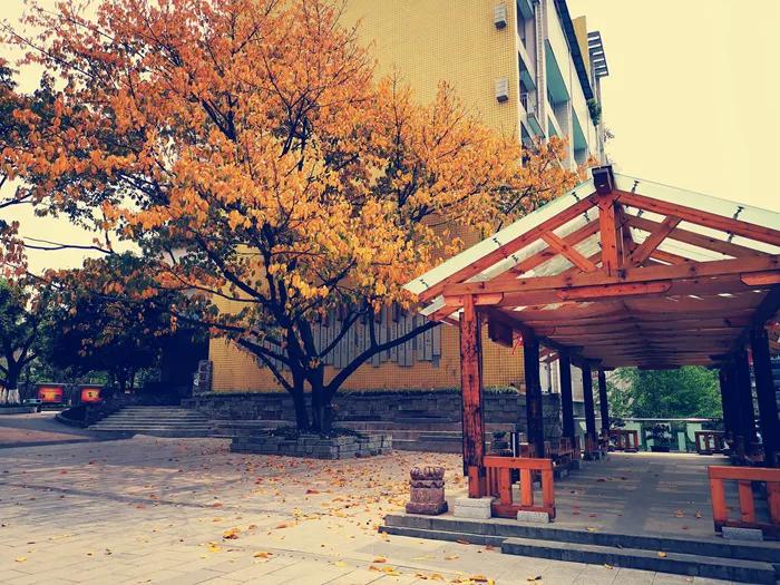 大渡口区重点中学,重庆市大渡口区三十七中录取标准