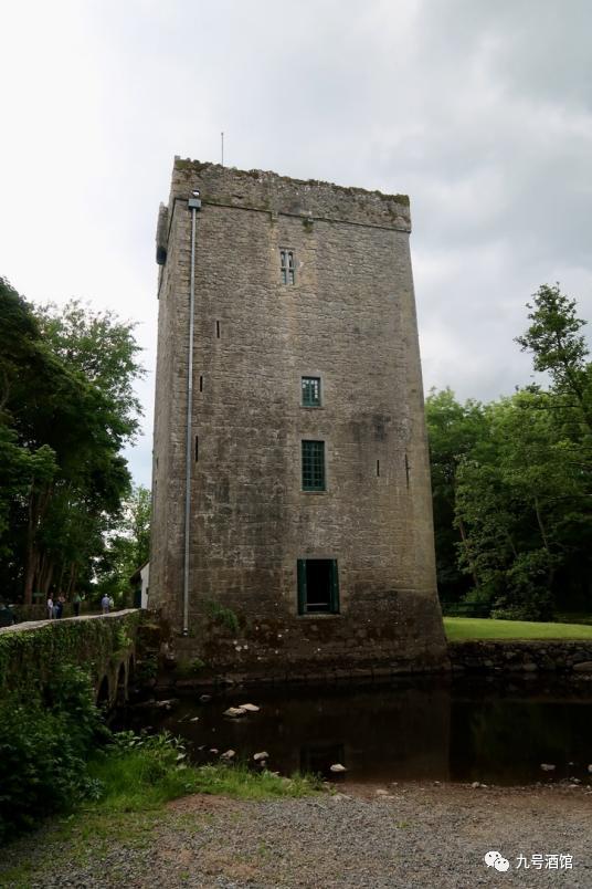 飞鸟越过珊瑚海,飞鸟越过山林