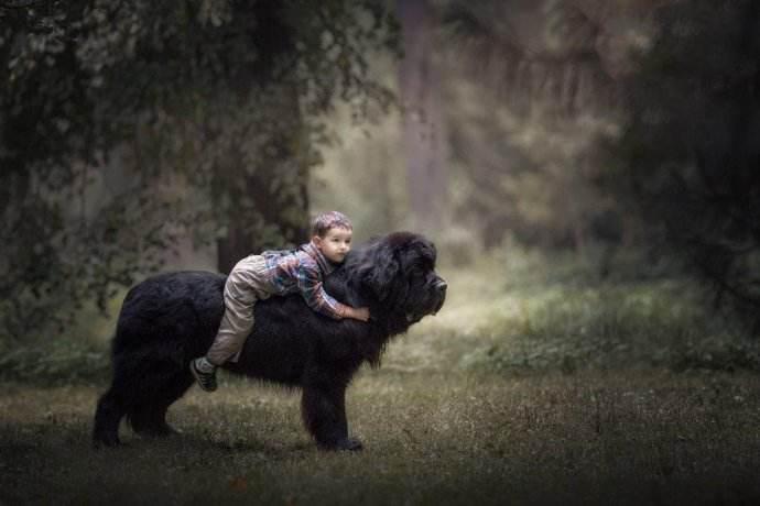 狗狗也会来姨妈嘛,狗狗来月经怎么办