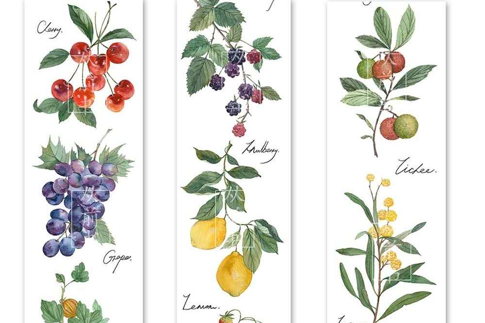 好看手帐社团胶带推荐,便宜又好用的手帐和社团胶带