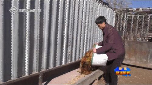 涉县任志方:90后小伙致富有“鹿”