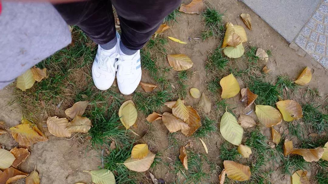 北京南锣鼓巷东一公里打卡地,北京南锣鼓巷旅游攻略必玩的景点