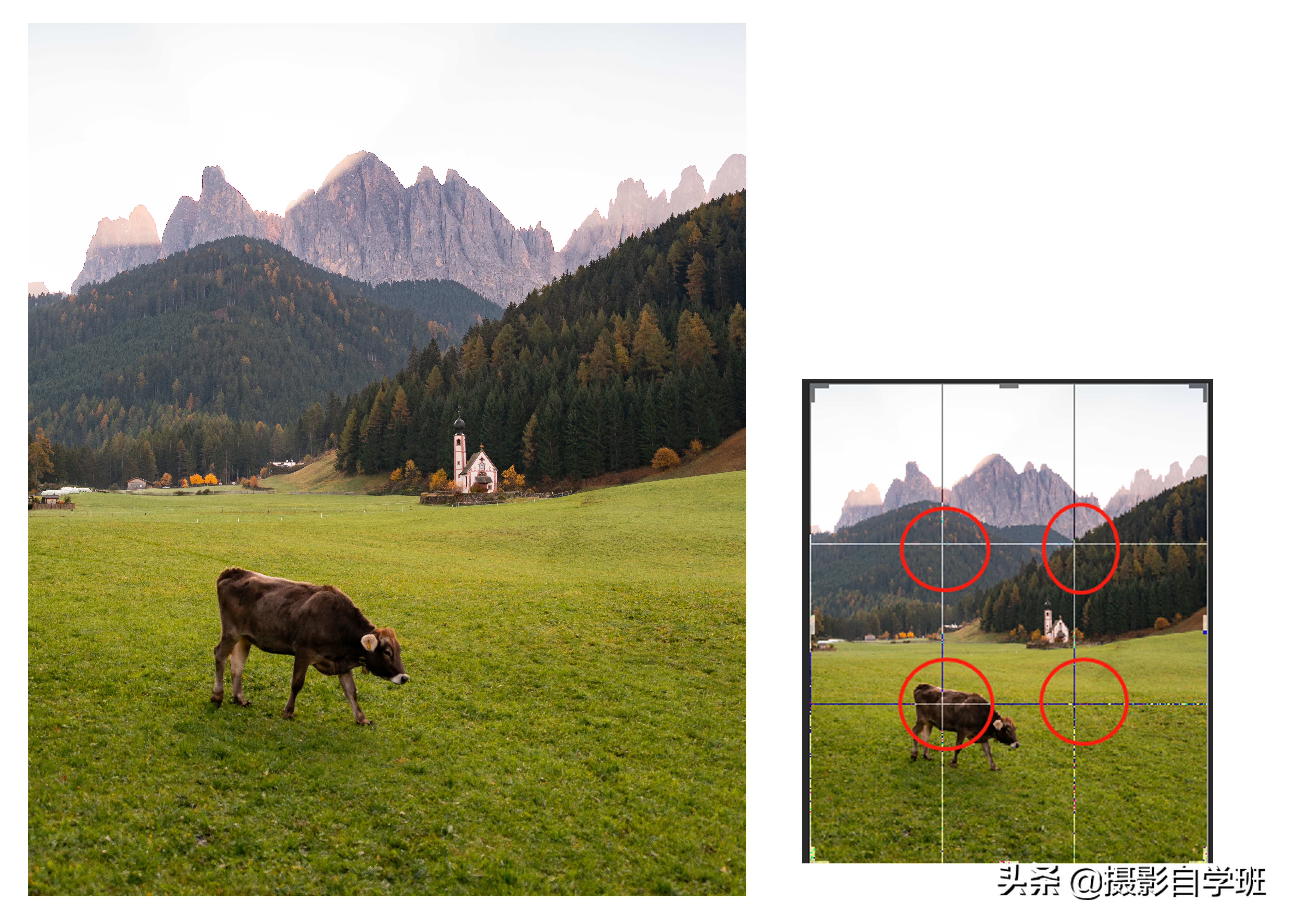 苹果手机拍照设置功能介绍,苹果手机拍照使用技巧大全集