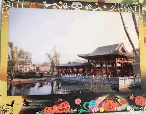 摄影拍立得视频,摄影小白入门相机拍立得