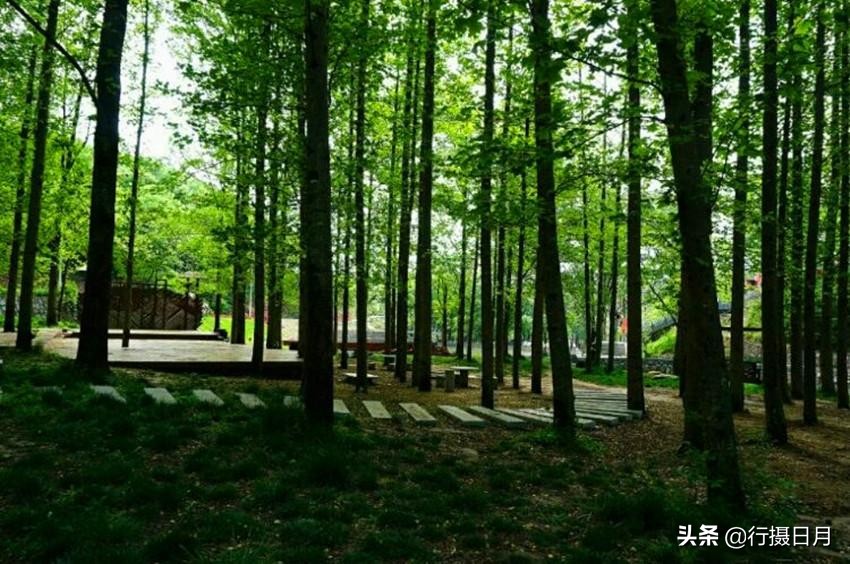 走进老乐山，徜徉如意湖，探访重阳登高之源