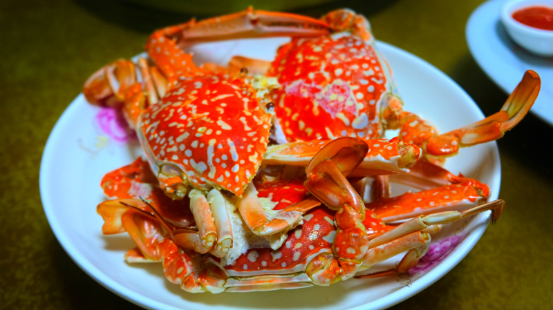 湛江遂溪角头沙旅游攻略,湛江江洪镇旅游攻略