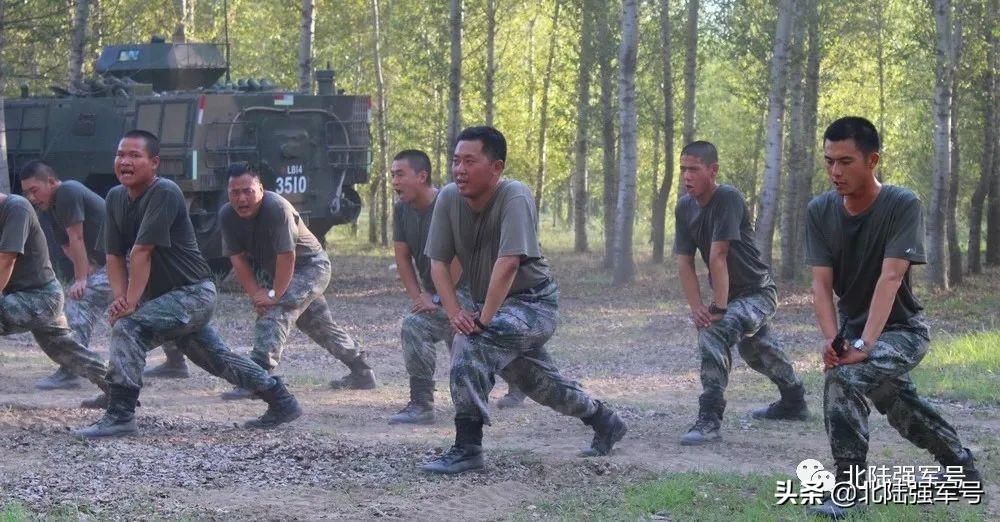 部队每个岗位都有它的职责和使命,部队旅级机关架构