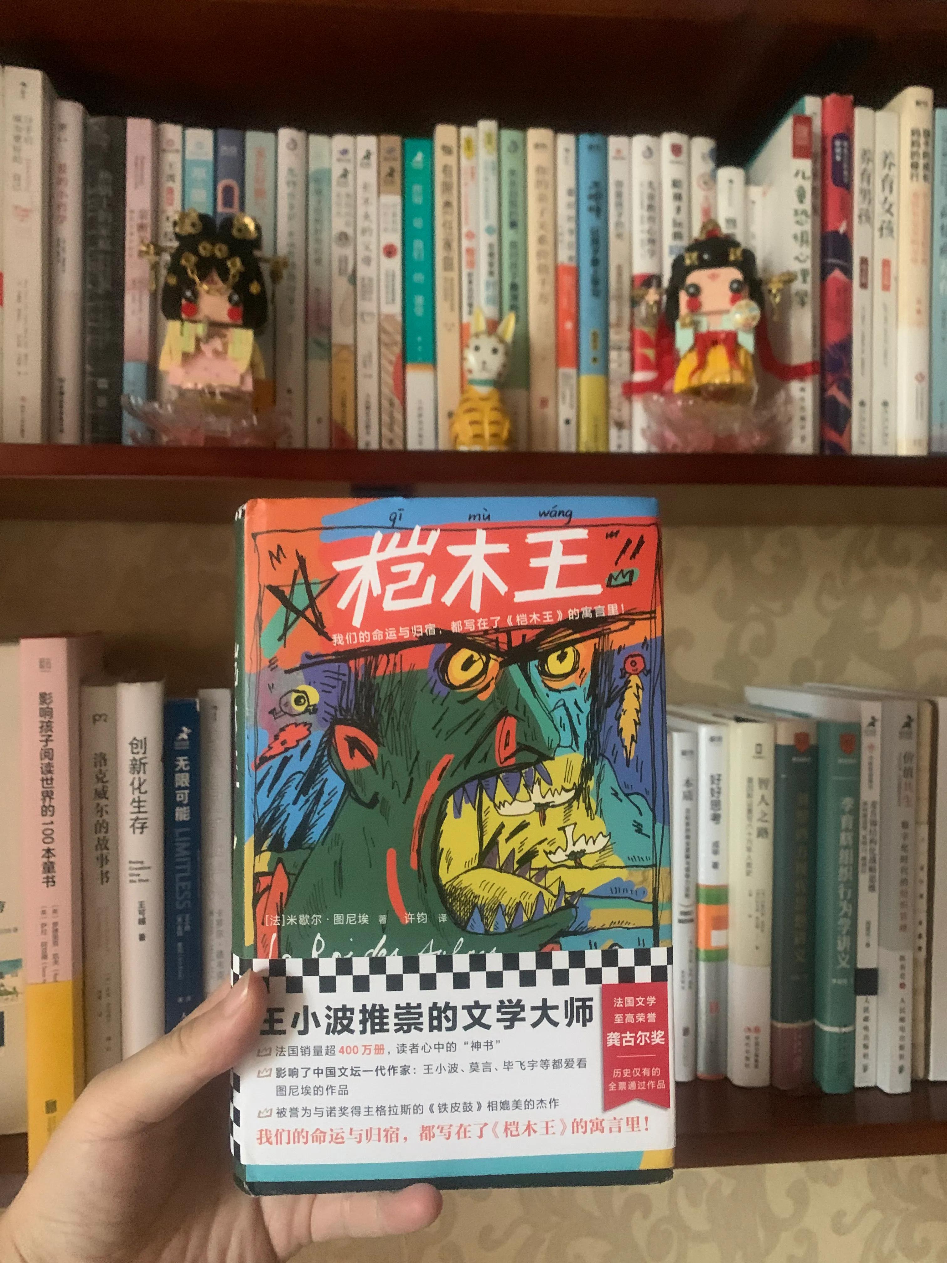 龚古尔文学奖中国评选,法国龚古尔获奖作品