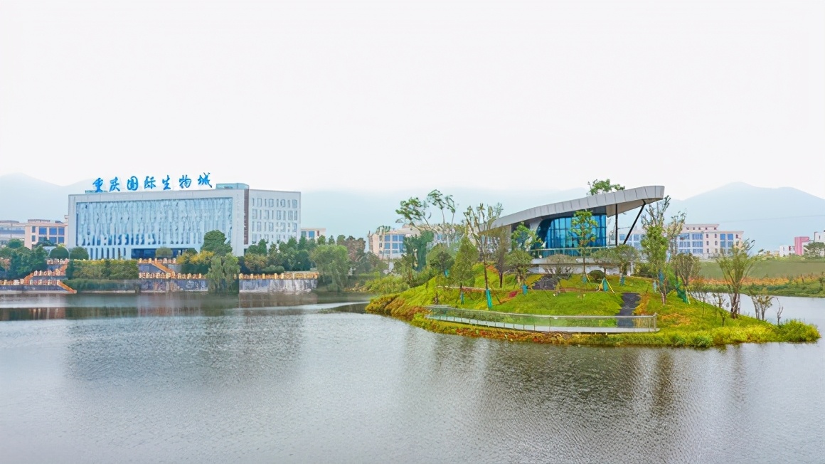 推动企业高质量发展迈上新征程,重庆国际生物城创新中心开工活动