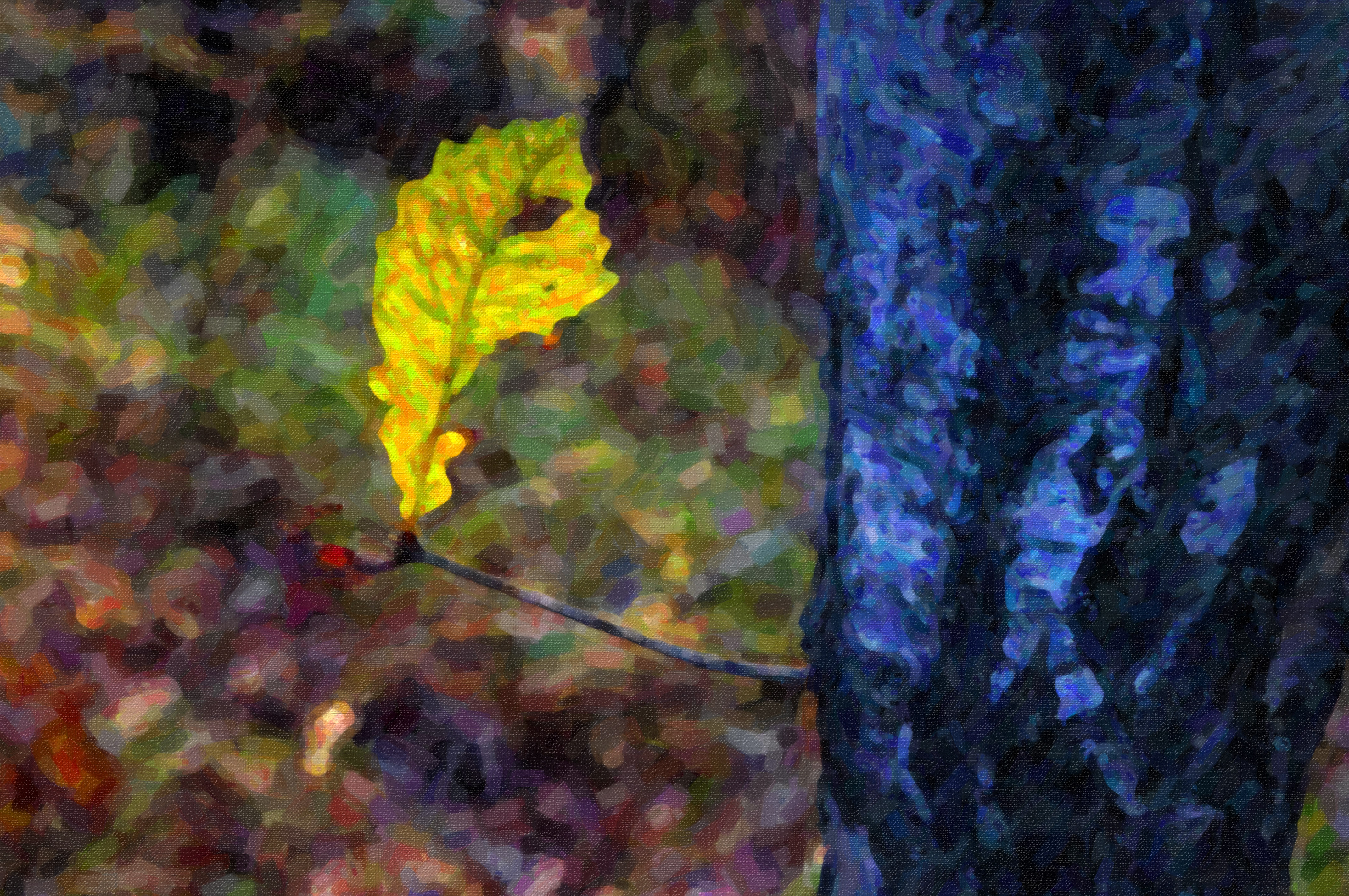 老界岭夏日风景,深秋山里的风景