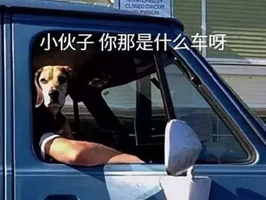 油门当刹车被撞男子奇迹脱险,男子骑车险被铁门砸到