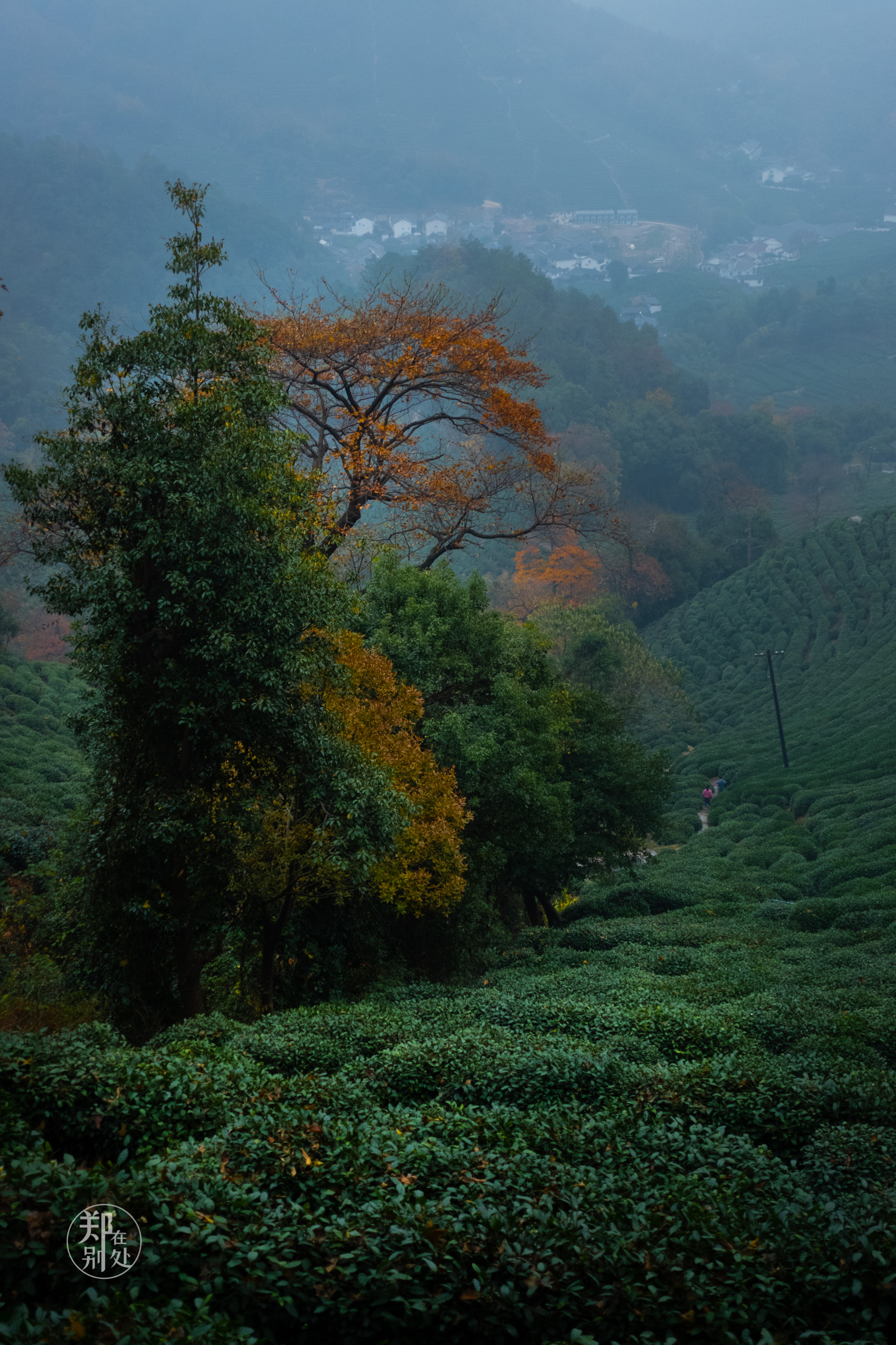 杭州登山徒步经典路线图最新,杭州登山路线