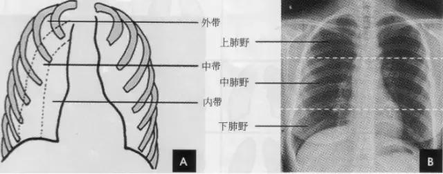 休闲小白鞋夏,献血小板相当于献血多少