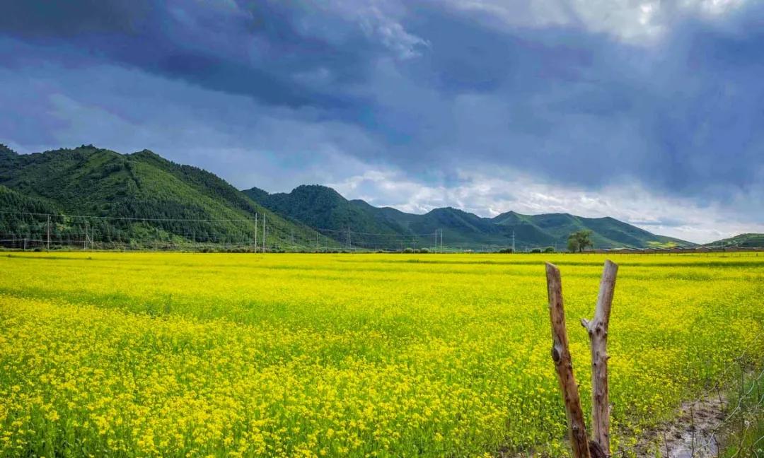 适合夏天去旅游的自驾路线,适合夏季的自驾游路线推荐