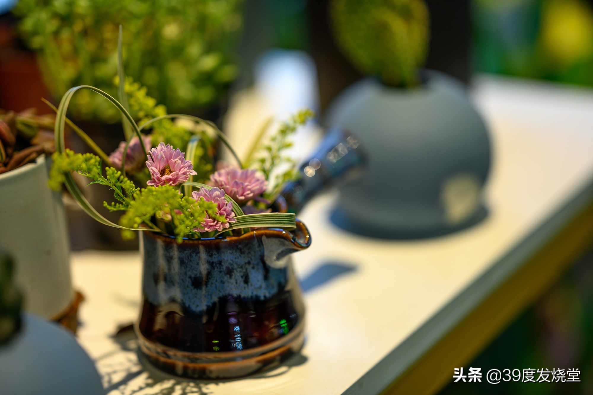 这5000元真值了!尼康Z85mmf/1.8轻量化人像镜头评测