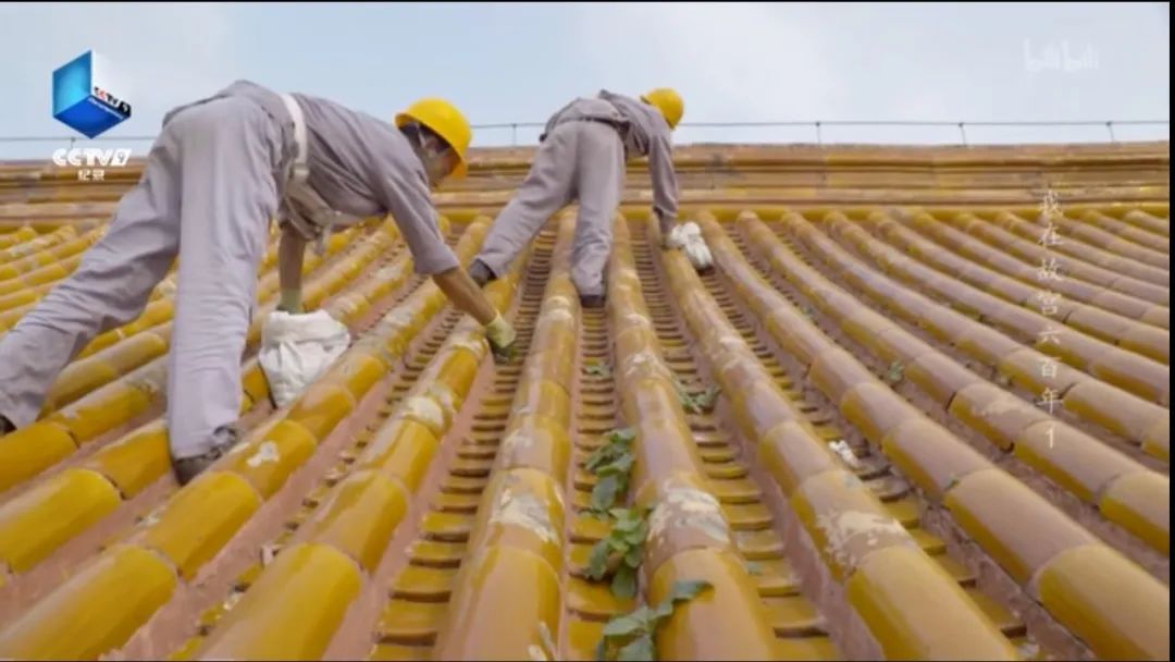 有关明朝朱元璋的纪录片,纪录片中国明朝朱元璋