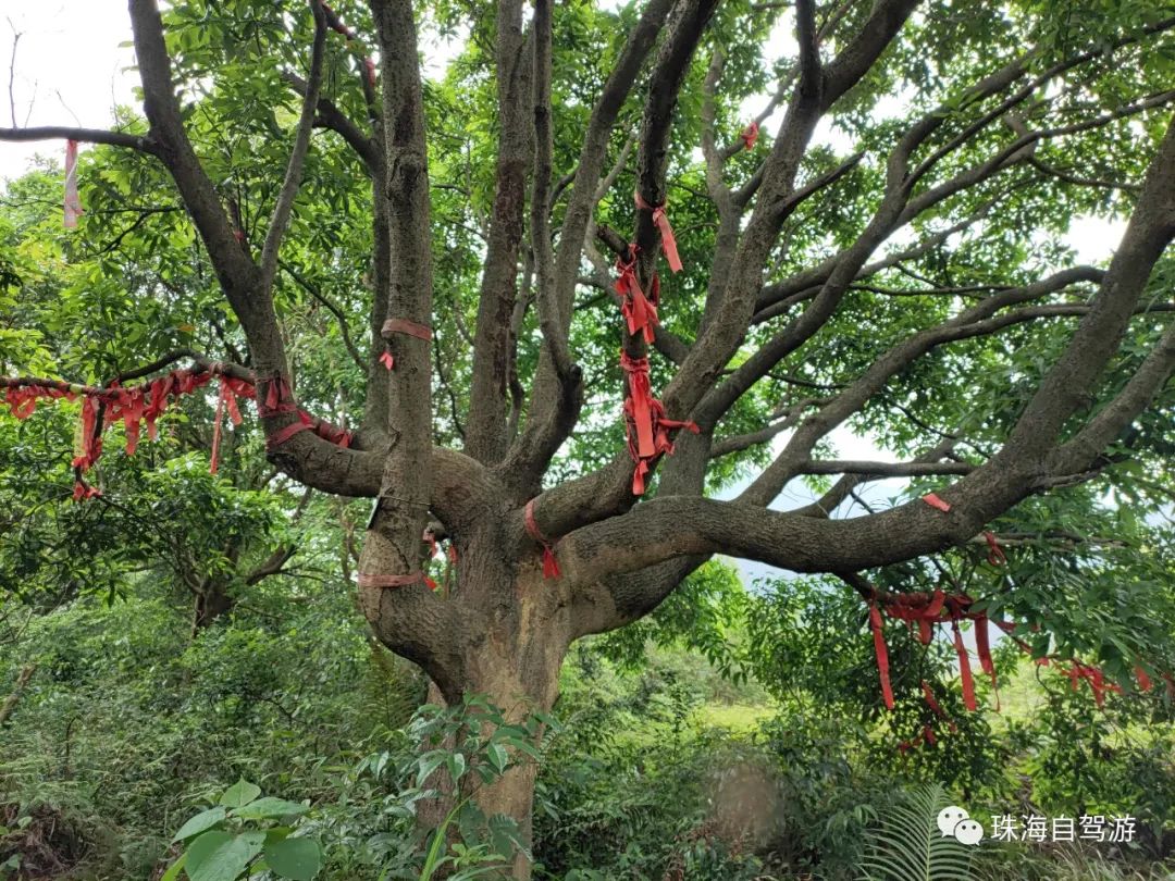 江门鹤山昆仑山徒步路线,鹤山昆仑山徒步行走路线
