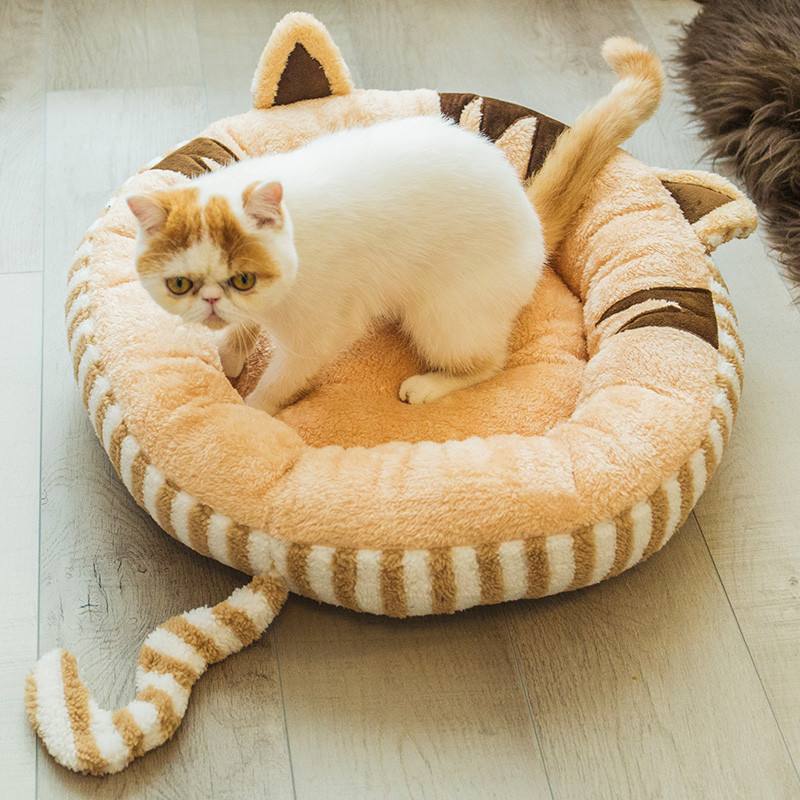 猫最好用什么猫窝,各种猫窝的视频大全