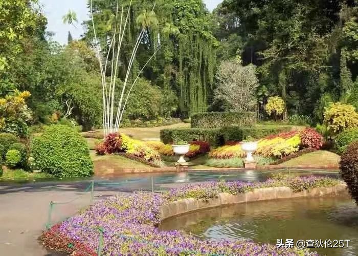 斯里兰卡努沃埃利耶小镇,斯里兰卡努沃勒埃利耶茶厂