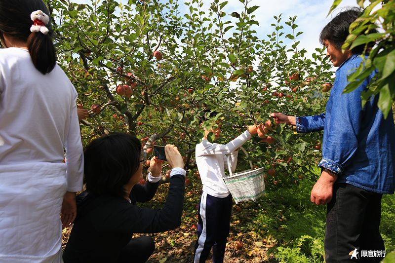 茶马古道重镇旅行,茶马古道旅行