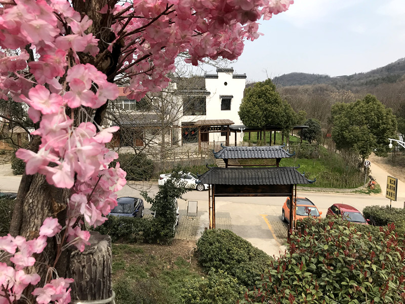 春至牛首，世凹春妆，画中徜徉，处处诗章-游南京江宁世凹桃源