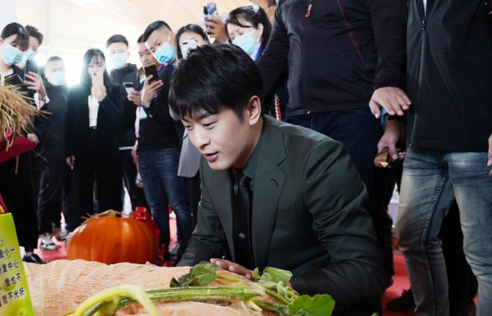 快手辛巴为什么解封了,辛巴回归平台