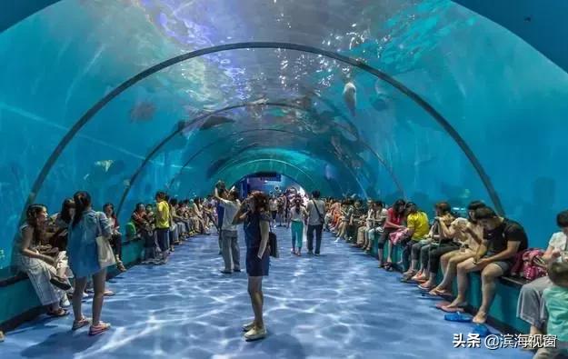 从天津高铁1小时可以达到的景点,天津高铁周边2-3天短途旅游