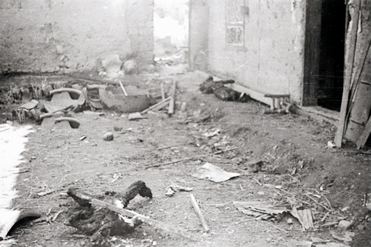 冈村宁次记录日本投降前后的日记,冈村宁次投降战刀