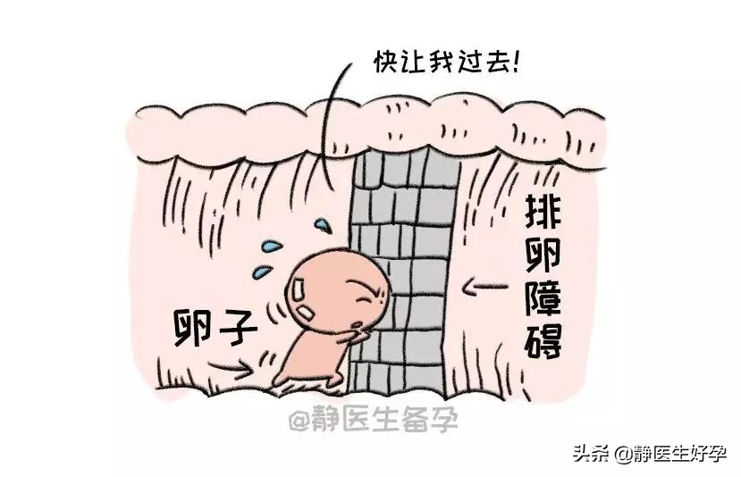 静医生团队调理怀孕可靠吗,中医女性不孕备孕知识