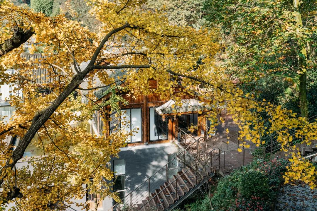 成都出发1.5h,藏在青城后山网红轻奢度假民宿,丨桐去隐泉