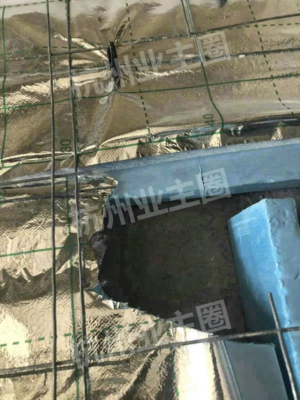 绿都什么意思,绿都包括哪些绿