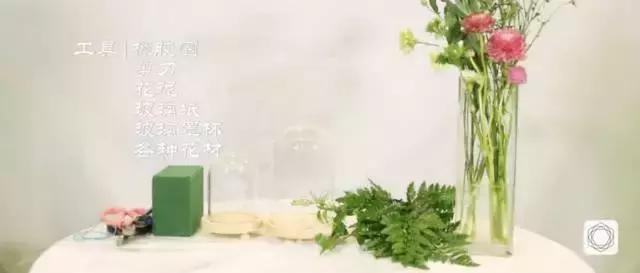 插花花枝怎么修,拯救枯萎蝴蝶兰