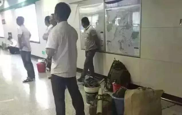 这才是董卿真实的样子,董卿跪地为什么获得网友的称赞