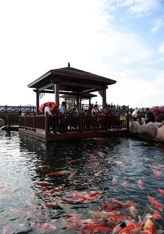 东南花都花博园全新升级鹿岛公园,东南花都花博园导览图