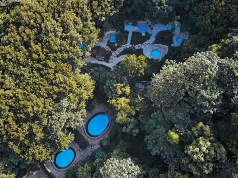 藏在山谷里温泉民宿,清远树屋温泉度假村攻略