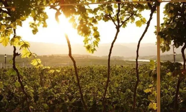 云南最美的旅游景点排名,大美云南11个县域旅游地