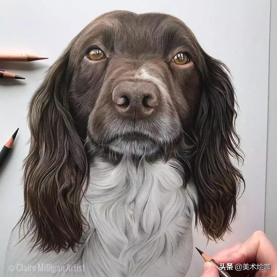 画的比照片还逼真,画的比照片还真实