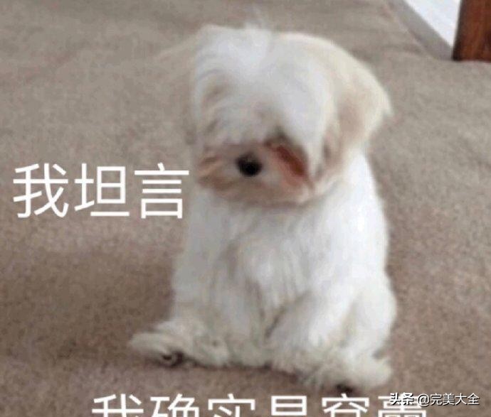 快乐星球女演员长大后现状,快乐星球年龄最小的演员