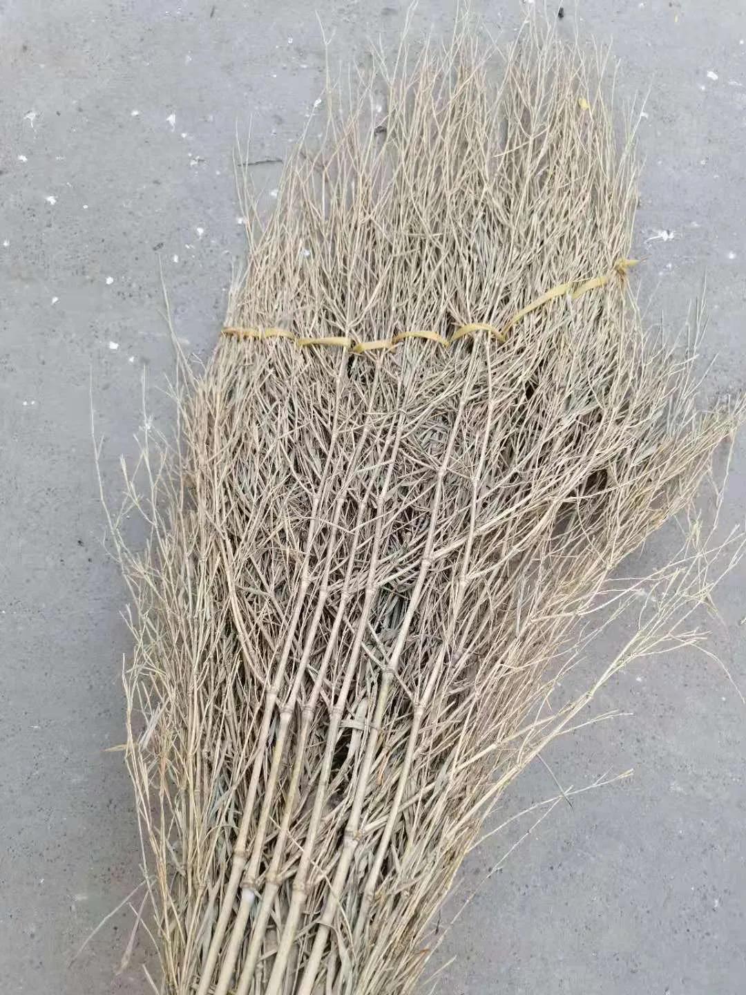 实拍！－10℃阵风7级，通州街头4000余名环卫工人在岗，消杀清扫防控疫情