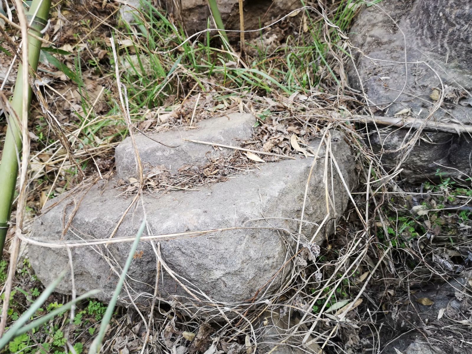 摩托周边旮旯游——探访明光法华禅庵塔